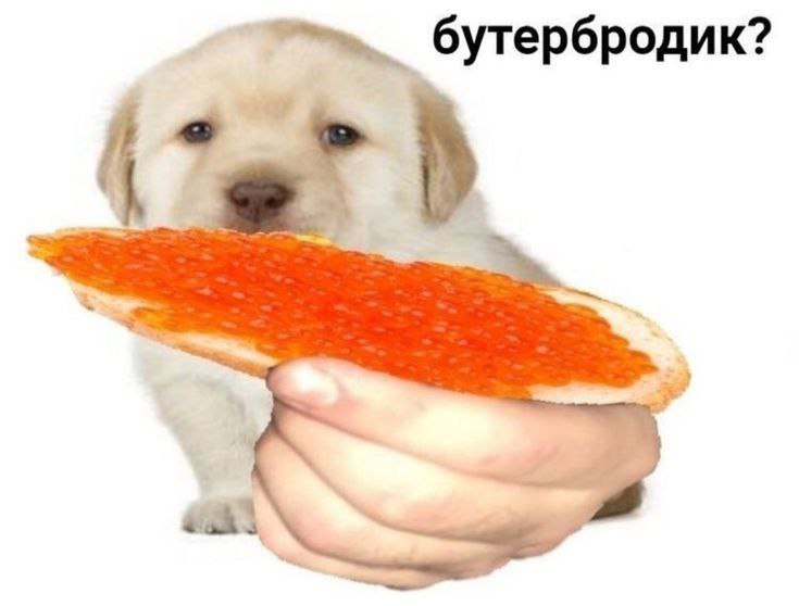 ербр