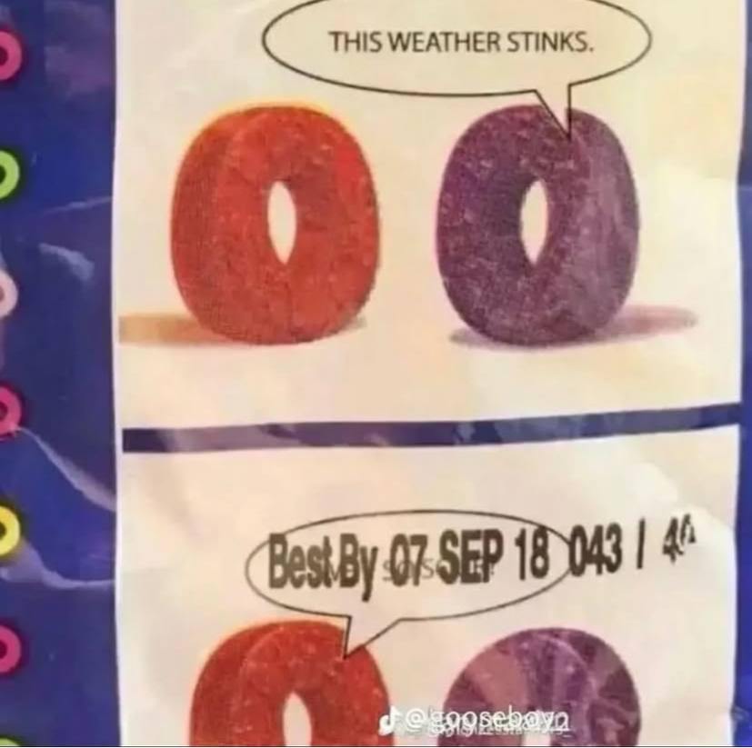 THIS WEATHER STINKS 4