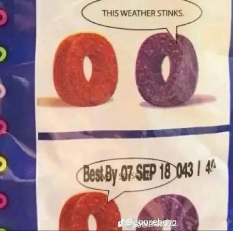 THIS WEATHER STINKS 4