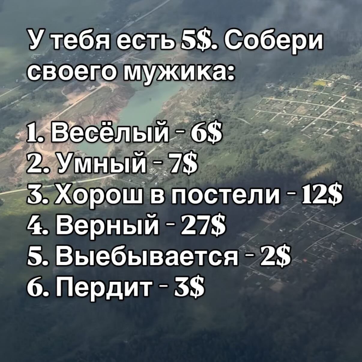 У тебя есть 5$. Собери своего мужика Весёл 6$ 7$ Хорош в постели 12$ 4. Верный 27$ 5. Выебывается 2$ 6. Пердит 3$