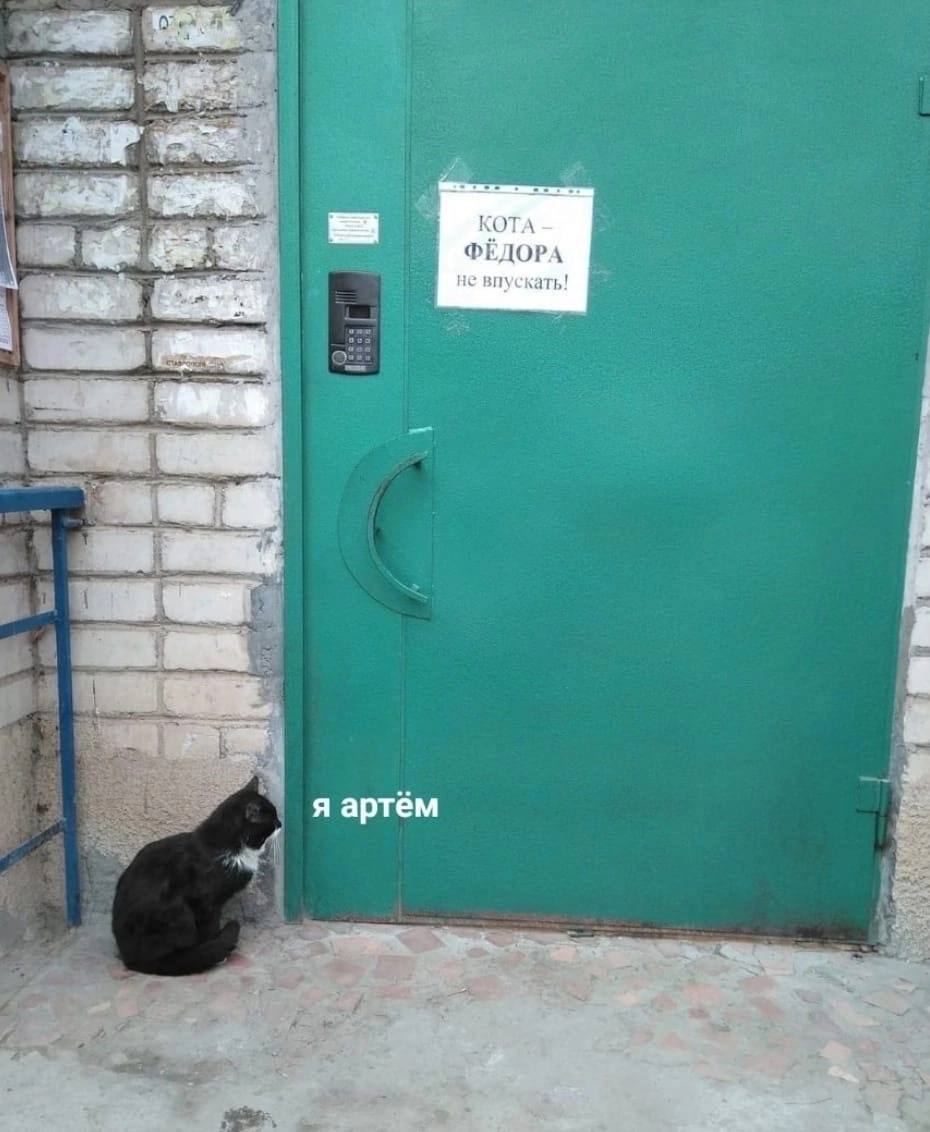«Я ФЁДОРА КОТА не впускать! я артём