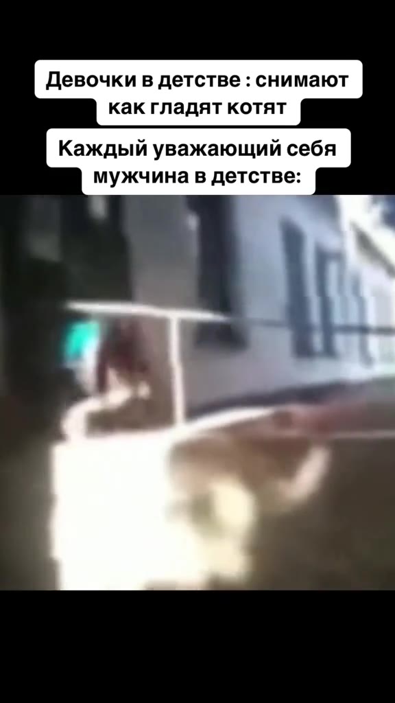 Девочки в детстве : снимают как гладят котят Каждый уважающий себя мужчина в детстве:
