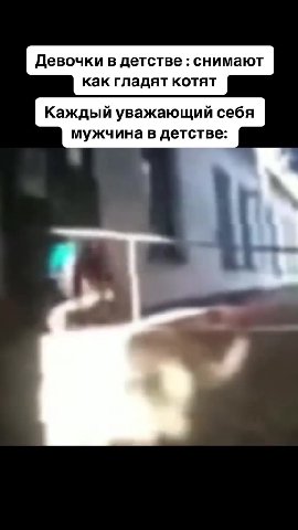 Девочки в детстве : снимают как гладят котят Каждый уважающий себя мужчина в детстве: