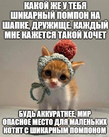 КАКОЙ ЖЕУТЕБЯ ШИКАРНЫЙ ПОМПОН ШАПКЕ, ДРУЖИЩЕ. КАЖДЫЙ МНЕ КАЖЕТСЯ ТАНОЙ КОЧЕТ БУДЬ AKKYPATHEE, МИР ОПАСНОЕ МЕСТО ДЛЯ МАЛЕНЬКИХ: [НОТЯТ С ШИКАРНЫМ