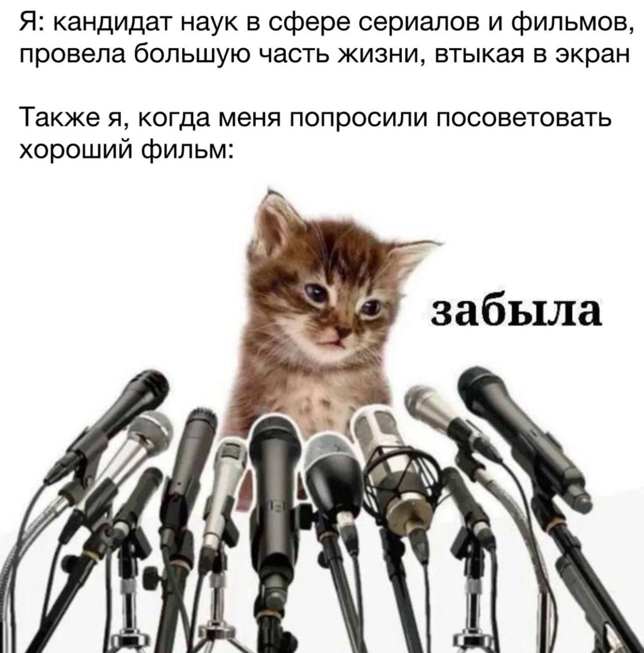 Я: кандидат наук в сфере сериалов и фильмов, провела большую часть жизни, втыкая в экран Также я, когда меня попросили посоветовать хороший фильм: забыла