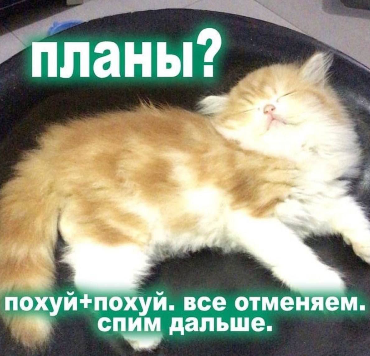 планы и. все отменяем ony дальше