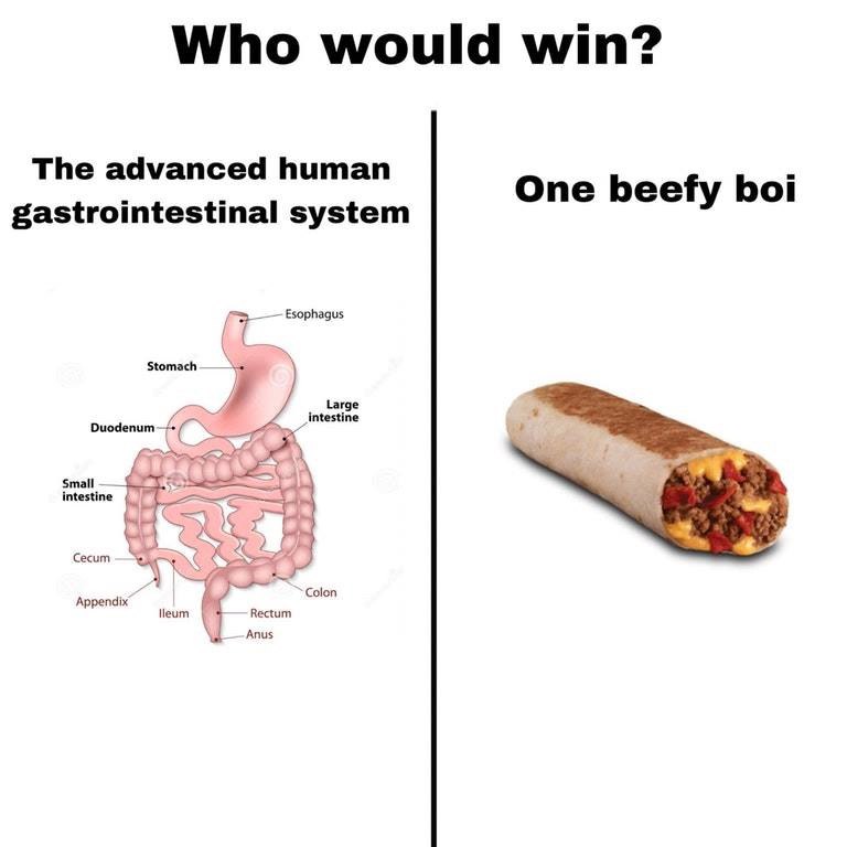 Who would win? The advanced human One beefy boi gastrointestinal system Esophagus Stomach rge Duodenum mall Cecum Appendix Colon lleum Anus Rectum