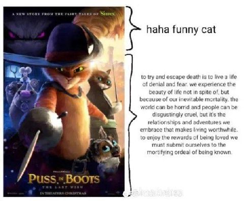 THe газет oF SHREK haha funny cat to try and escape death is to live a life of denial and fear. we experience the beauty of life not in spite of, but А because of our inevitable mortality. the world c