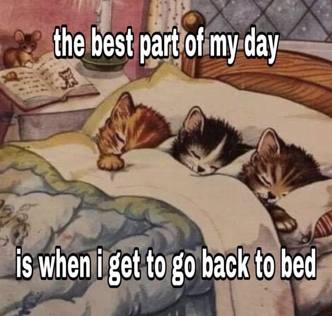 the best part of my day is when get to hack to hed