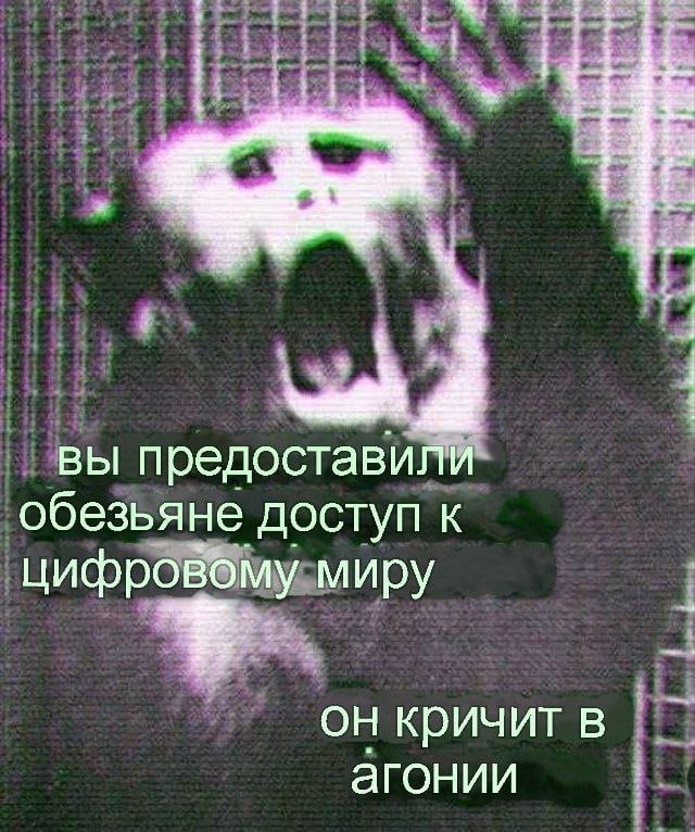 вы предоставили обезьяне доступ К цифровому миру он кричитв агонии