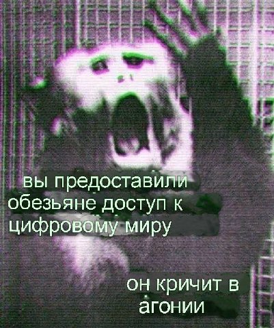 вы предоставили обезьяне доступ К цифровому миру он кричитв агонии