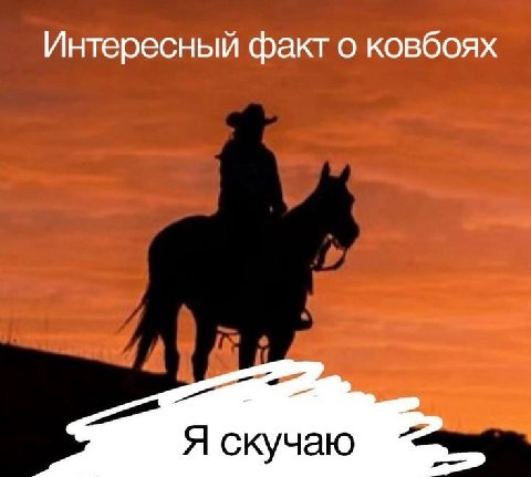 Интересный факт о ковбоях Я скучаю
