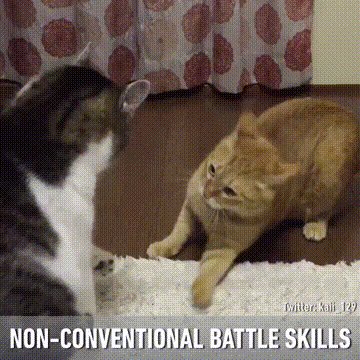 ate NON-CONVENTIONAL BATTLE SKILLS