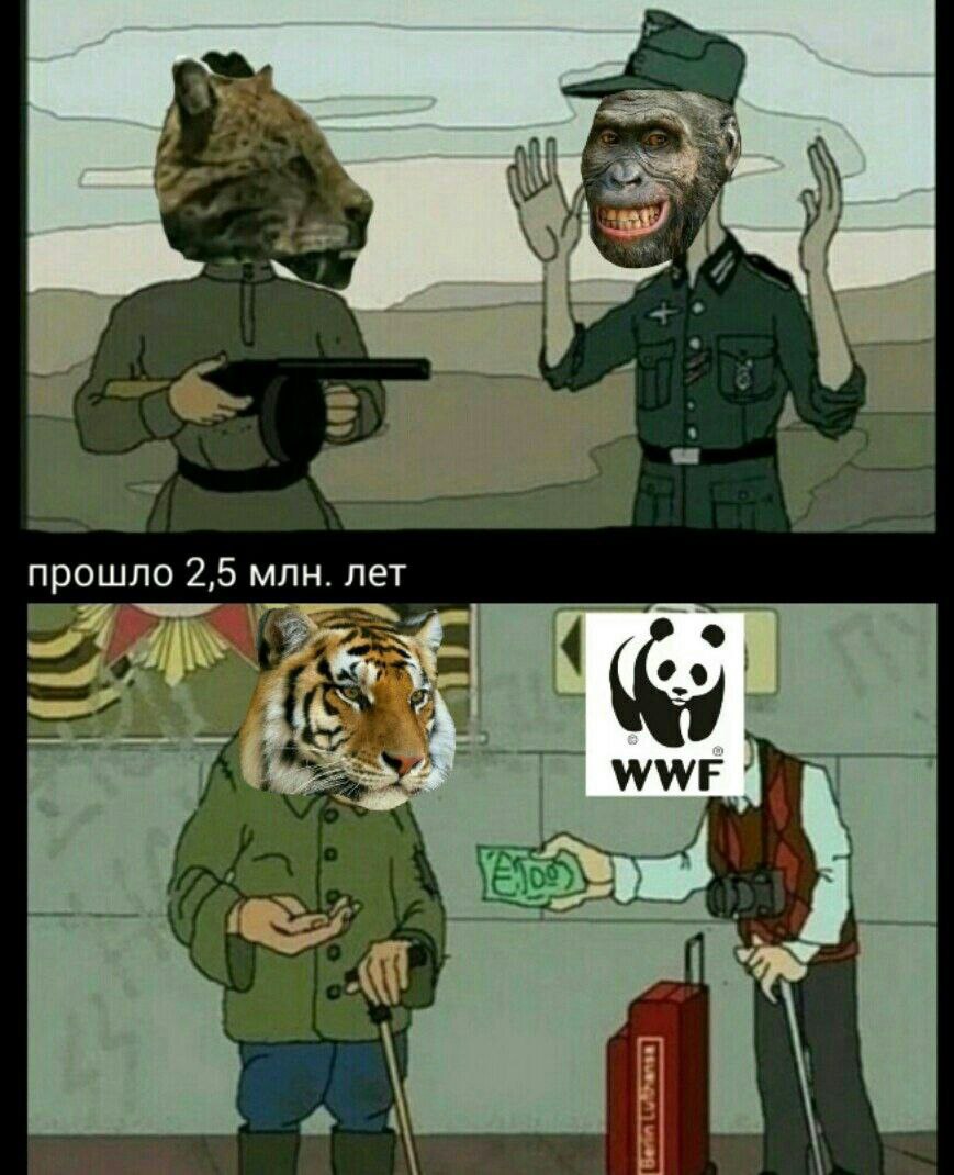 прошло 2,5 млн. лет WWE
