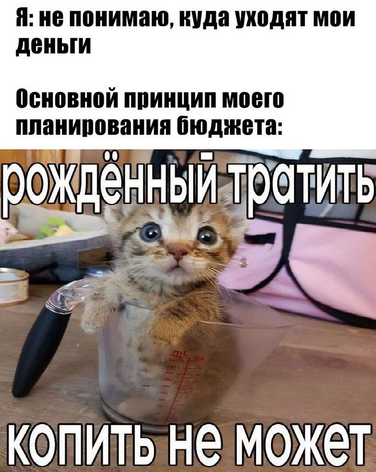 Я: не понимаю, куда уходят мои планирования бюджета: Основной принцип моего может