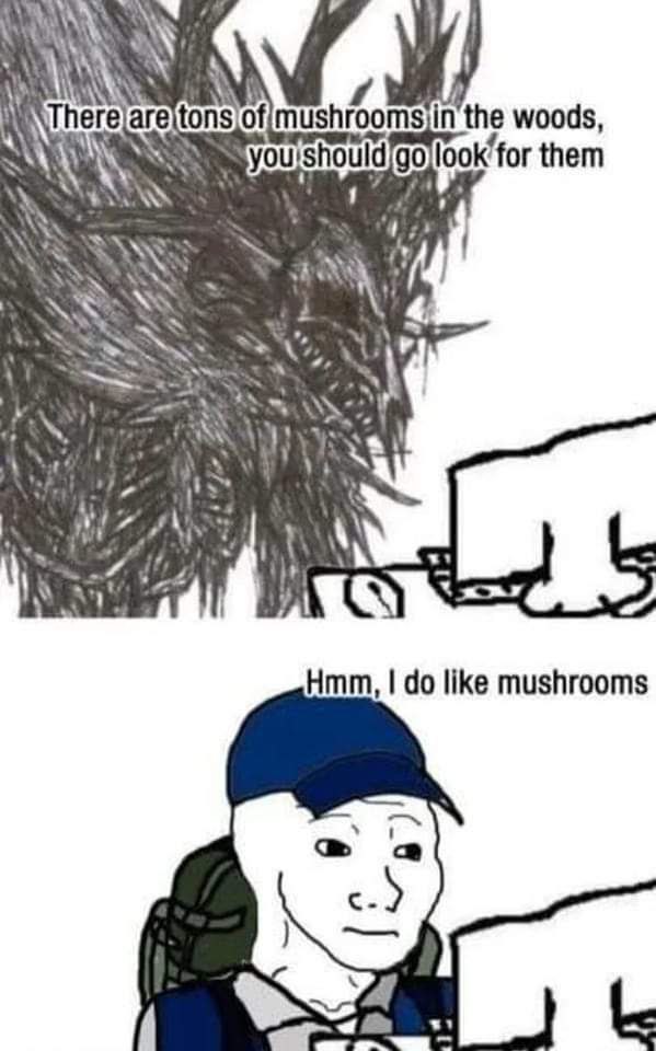 еге mushro the woods, for them Hmm, like mushrooms