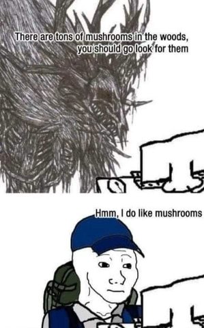еге mushro the woods, for them Hmm, like mushrooms