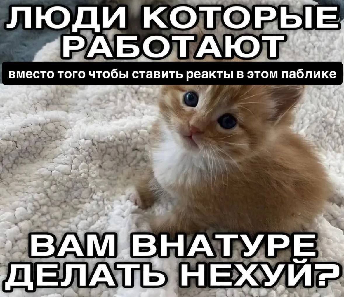 ЛЮДИ КОТОРЫЕ 2”, „РАБОТАЮТ вместо того чтобы ставить реакты в этом паблике 1 ДЕЛАТЬ