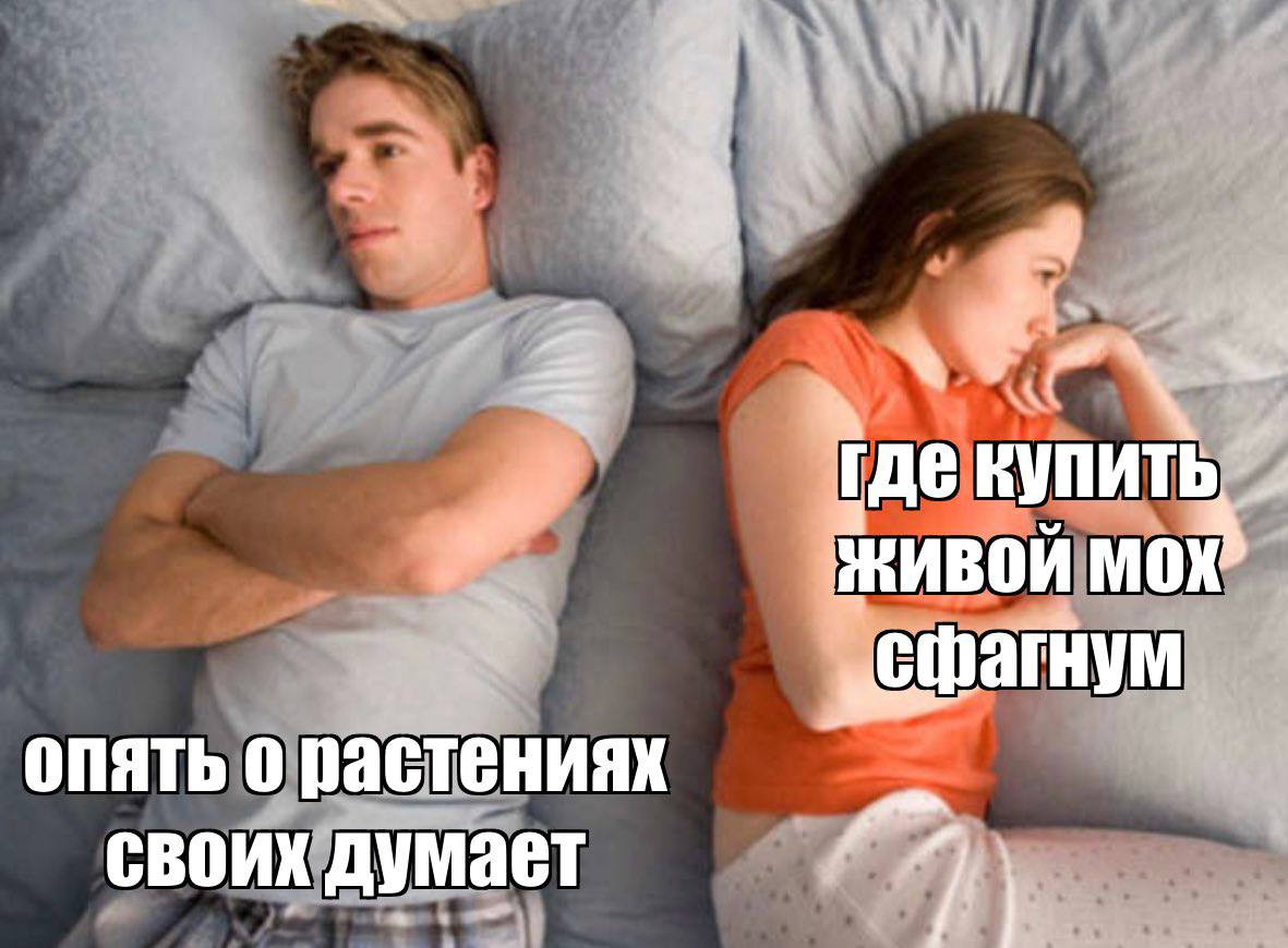 4 Tae ЖИВОЙ МОХ опять о растениях своих думает