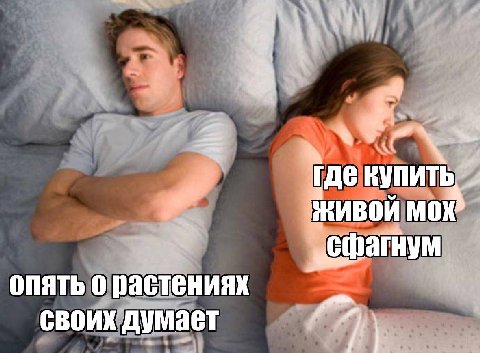 4 Tae ЖИВОЙ МОХ опять о растениях своих думает