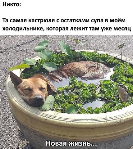 Никто: самая кастрюля с остатками супа в моем холодильнике, которая лежит там уже месяц 3 4 5) у 2} Новая жизнь...