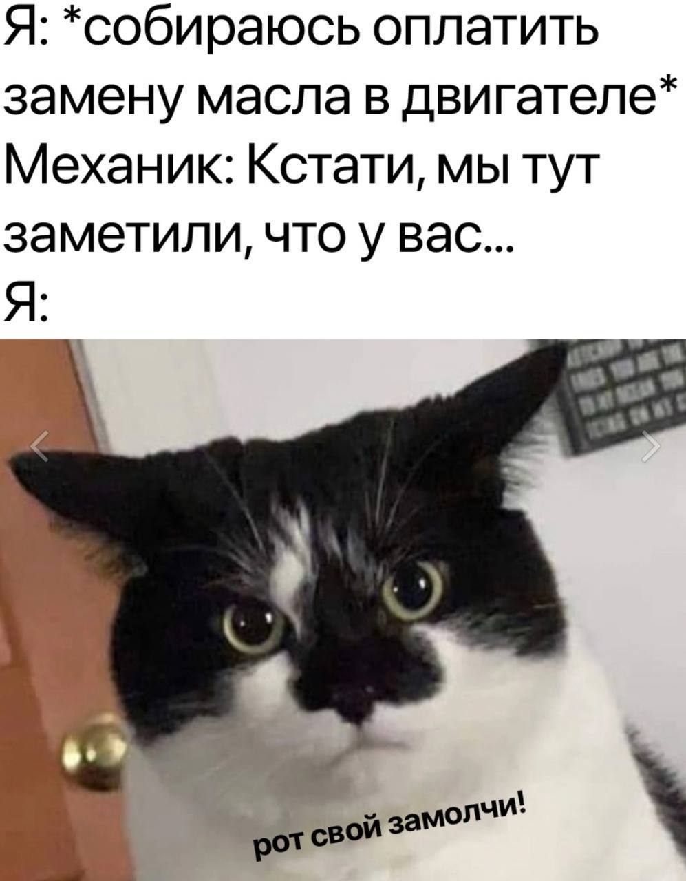 Я: *собираюсь оплатить замену масла в двигателе* Механик: Кстати, мы тут заметили, что у вас... 5.» замолчи'
