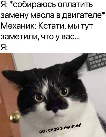 Я: *собираюсь оплатить замену масла в двигателе* Механик: Кстати, мы тут заметили, что у вас... 5.» замолчи'