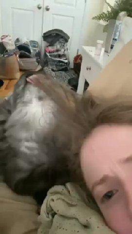 мем