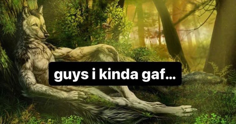 kinda gaf...