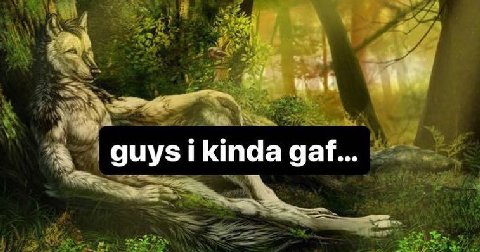 kinda gaf...