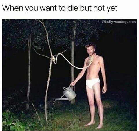 When you want to die but not yet