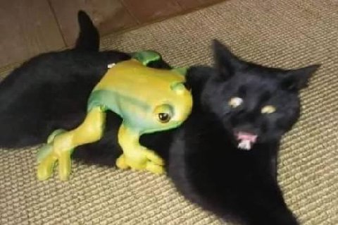 Du
