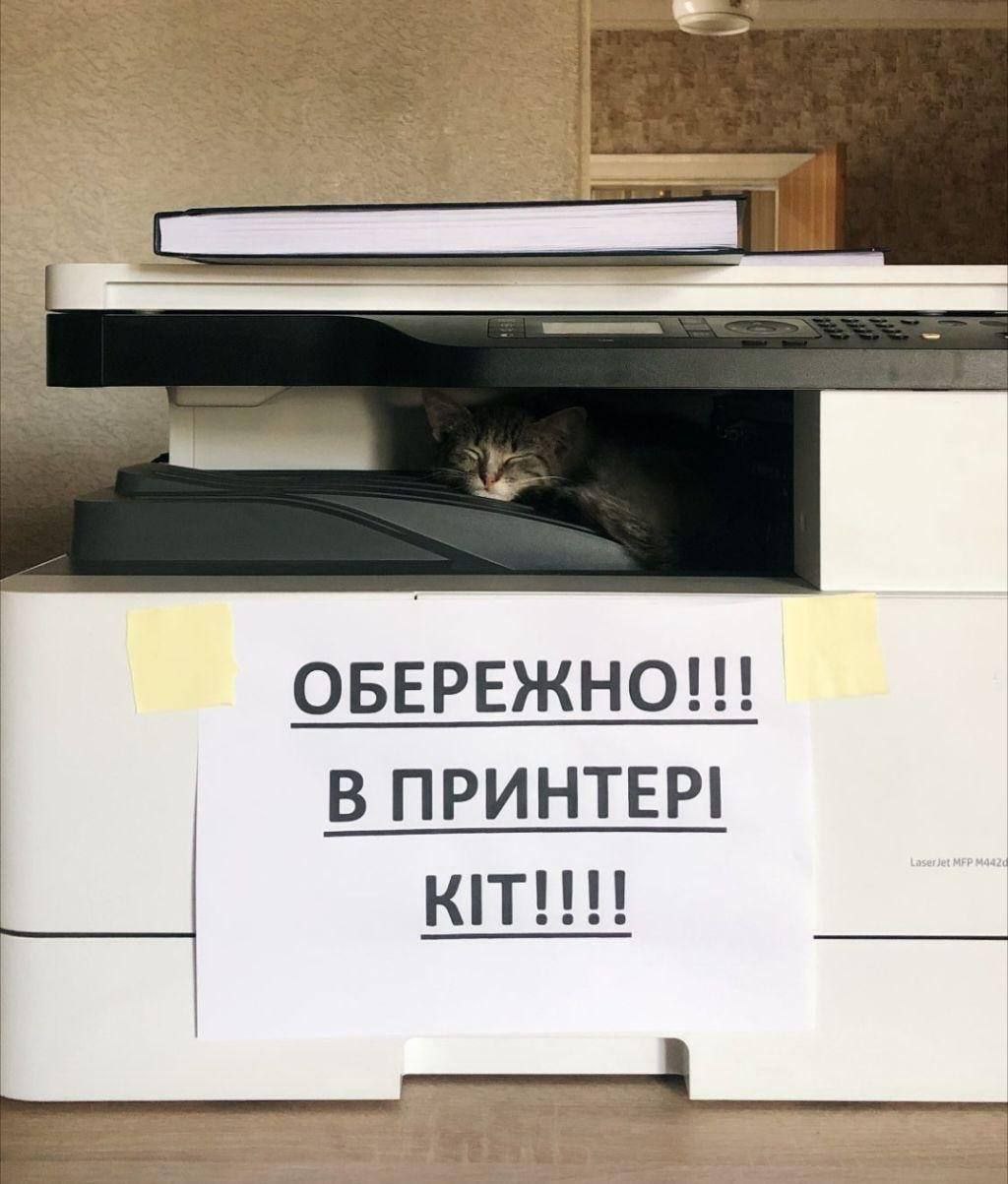 ОБЕРЕЖНО!! В ПРИНТЕР! кии