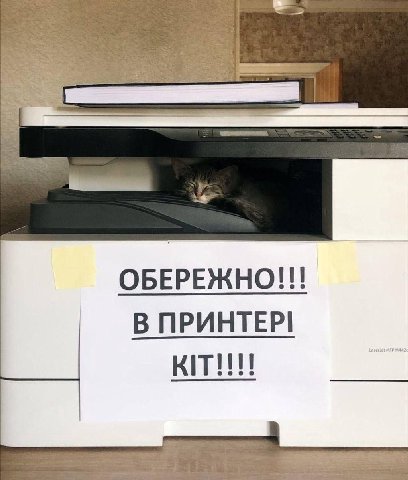 ОБЕРЕЖНО!! В ПРИНТЕР! кии