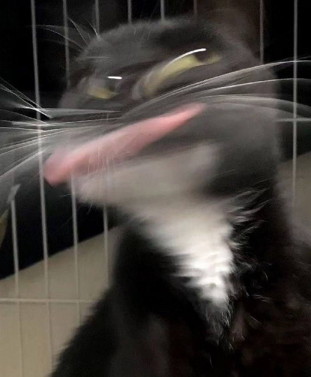 а