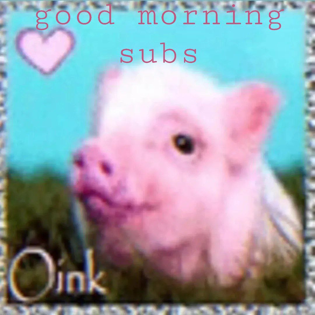 subs 4