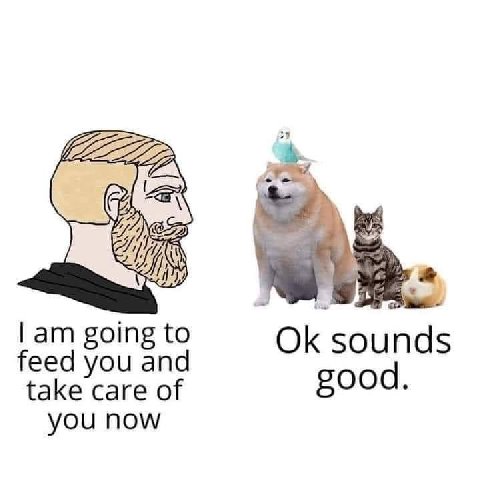 going to sound 5 feed you and take care of good. you now