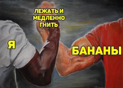 ЛЕЖАТЬ И МЕДЛЕННО ГНИТЬ БАНАНЫ