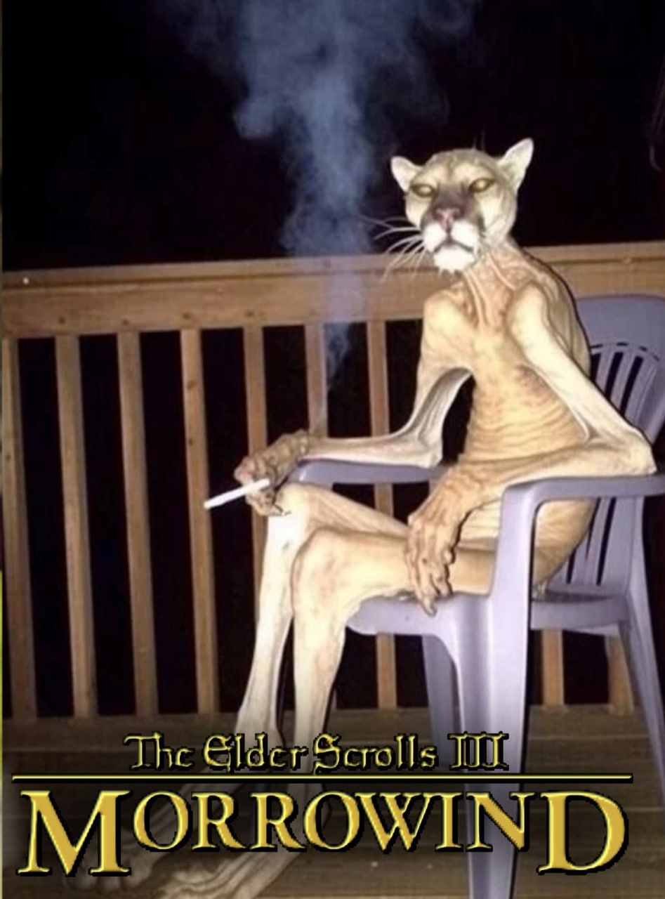 The MORROWIND
