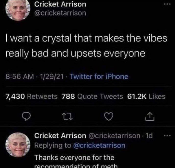 Cricket Arrison @cricketarrison want a crystal that makes the vibes really bad and upsets everyone 8:56 1/29/21 Twitter for iPhone 7,430 Retweets 788 Quote Tweets Likes Cricket Arrison @cricketarrison
