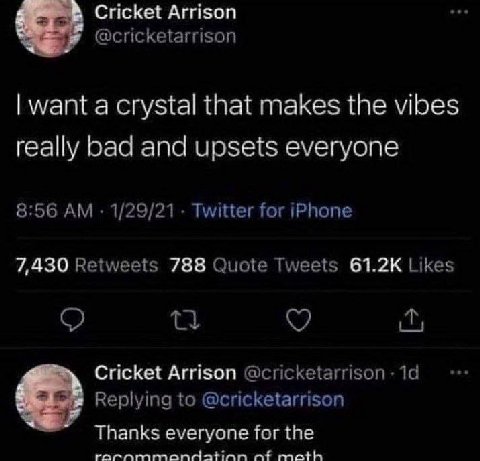 Cricket Arrison @cricketarrison want a crystal that makes the vibes really bad and upsets everyone 8:56 1/29/21 Twitter for iPhone 7,430 Retweets 788 Quote Tweets Likes Cricket Arrison @cricketarrison