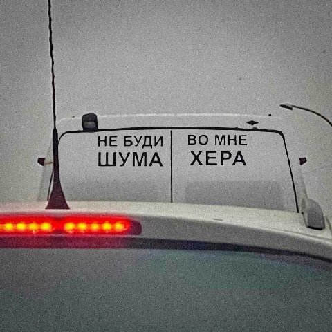 НЕ БУДИ ВО МНЕ ШУМА ХЕРА