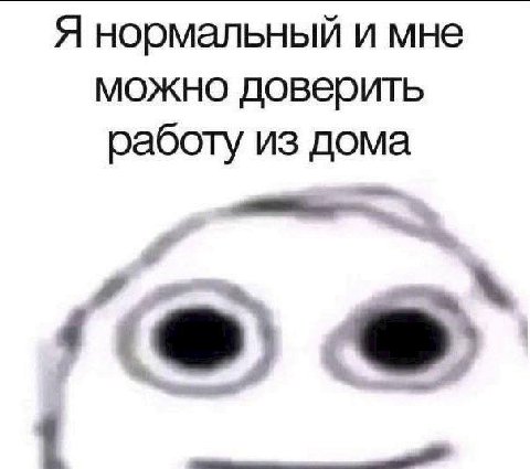 Я нормальный и мне можно доверить работу из дома