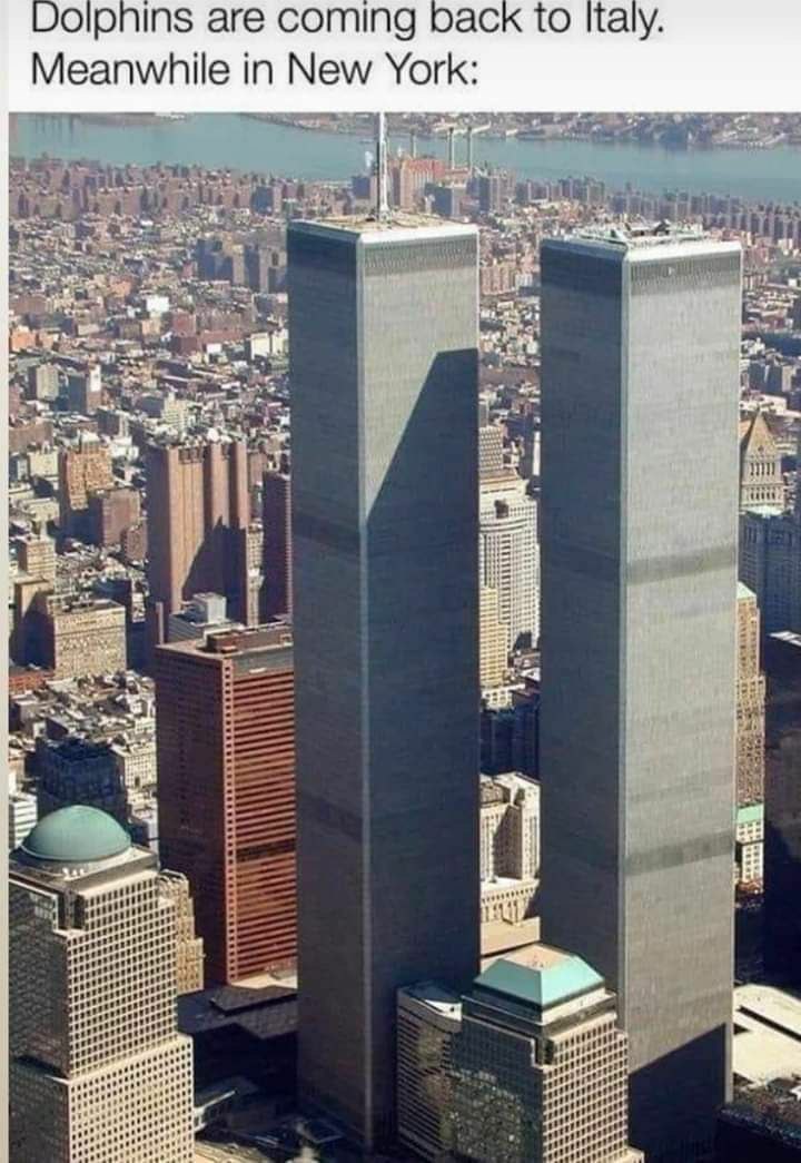 аге Coming рас 10 Кам. Meanwhile in New York: 7 1 7 7 5 TENS