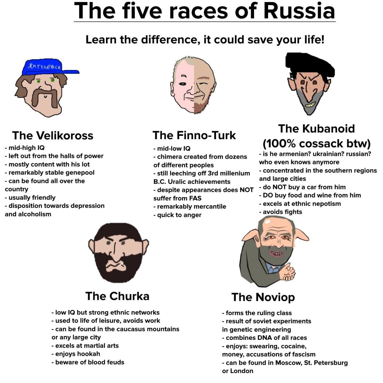 The five races of Russia Learn the difference, it could save your life! у The Kubanoid The Velikoross The Finno-Turk (100% cossack btw) mid-high mid-low left out from the halls of power created from d