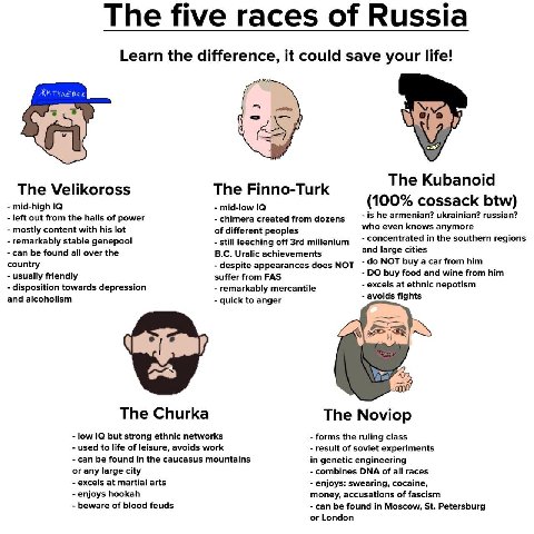 The five races of Russia Learn the difference, it could save your life! у The Kubanoid The Velikoross The Finno-Turk (100% cossack btw) mid-high mid-low left out from the halls of power created from d