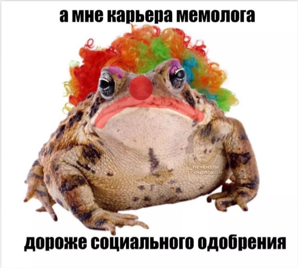 амне карьера мемолога и за ПЕЧЕНСГИ MONOKC 4? дороже социального одобрения