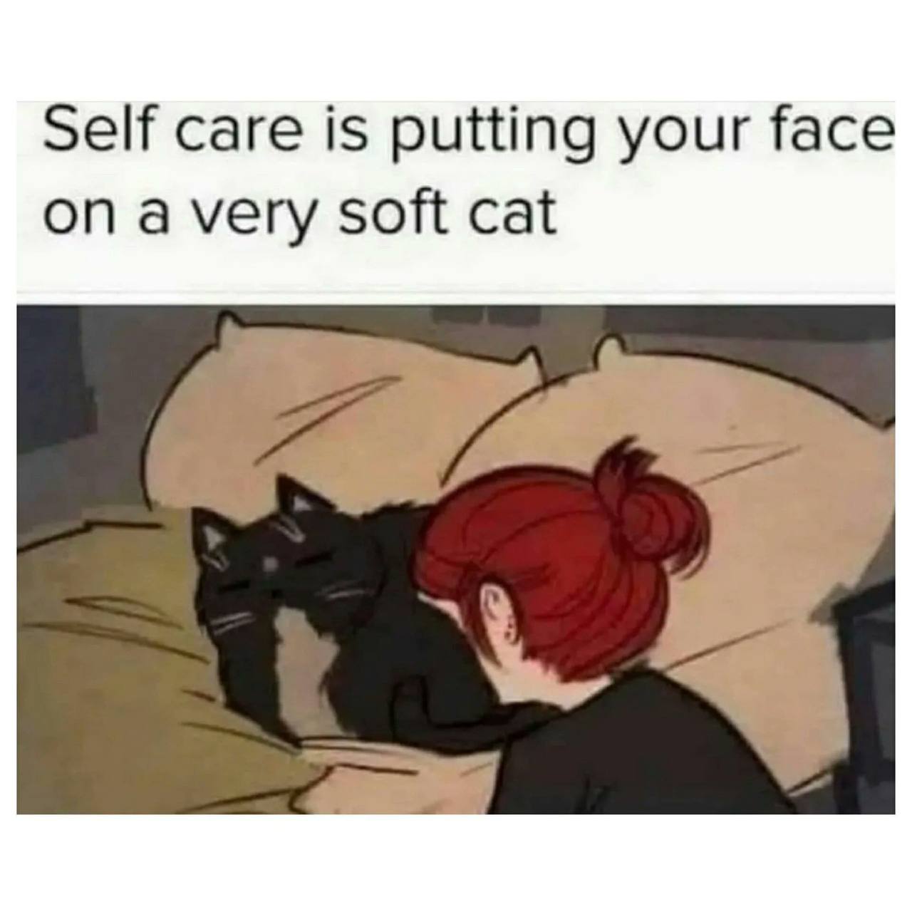 Self care is putting your face on avery soft cat