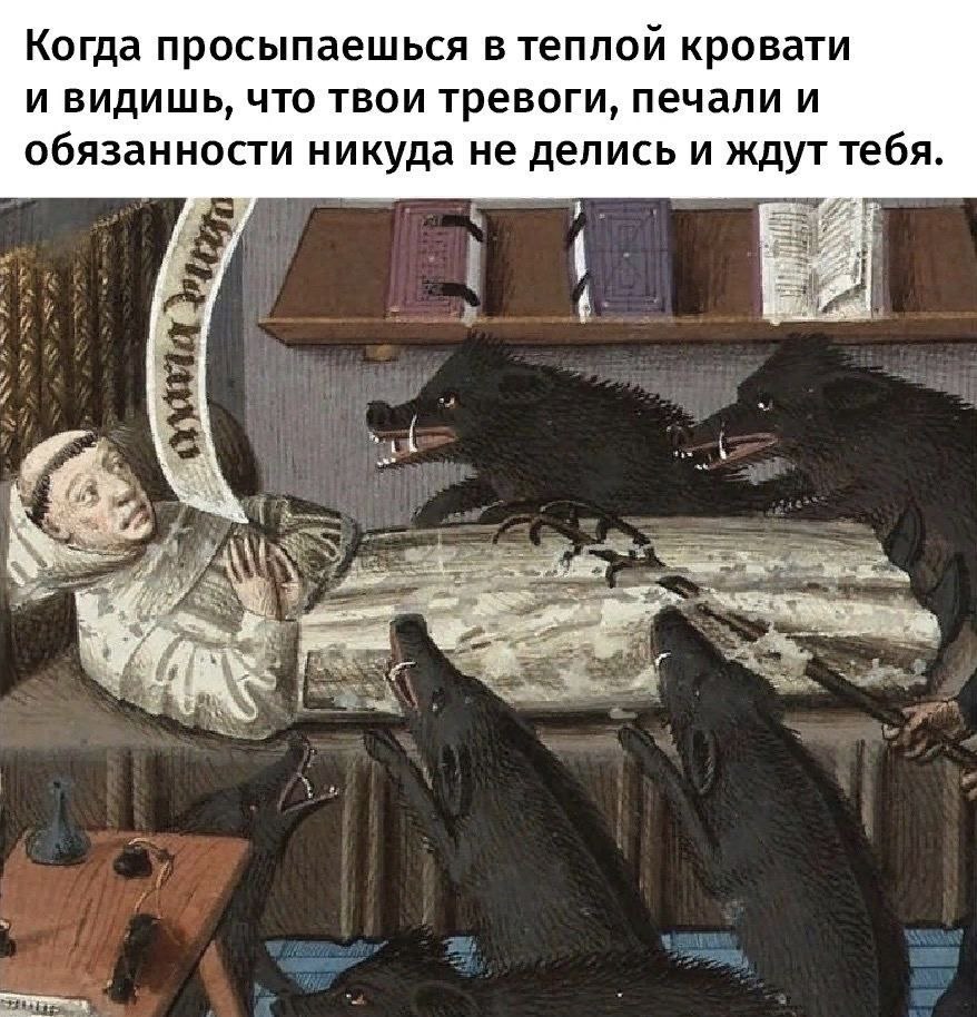 Когда просыпаешься в теплой кровати и видишь, что твои тревоги, печали и обязанности никуда не делись и ждут тебя. у i