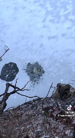 мне надо как-то получить вот это на каникулах